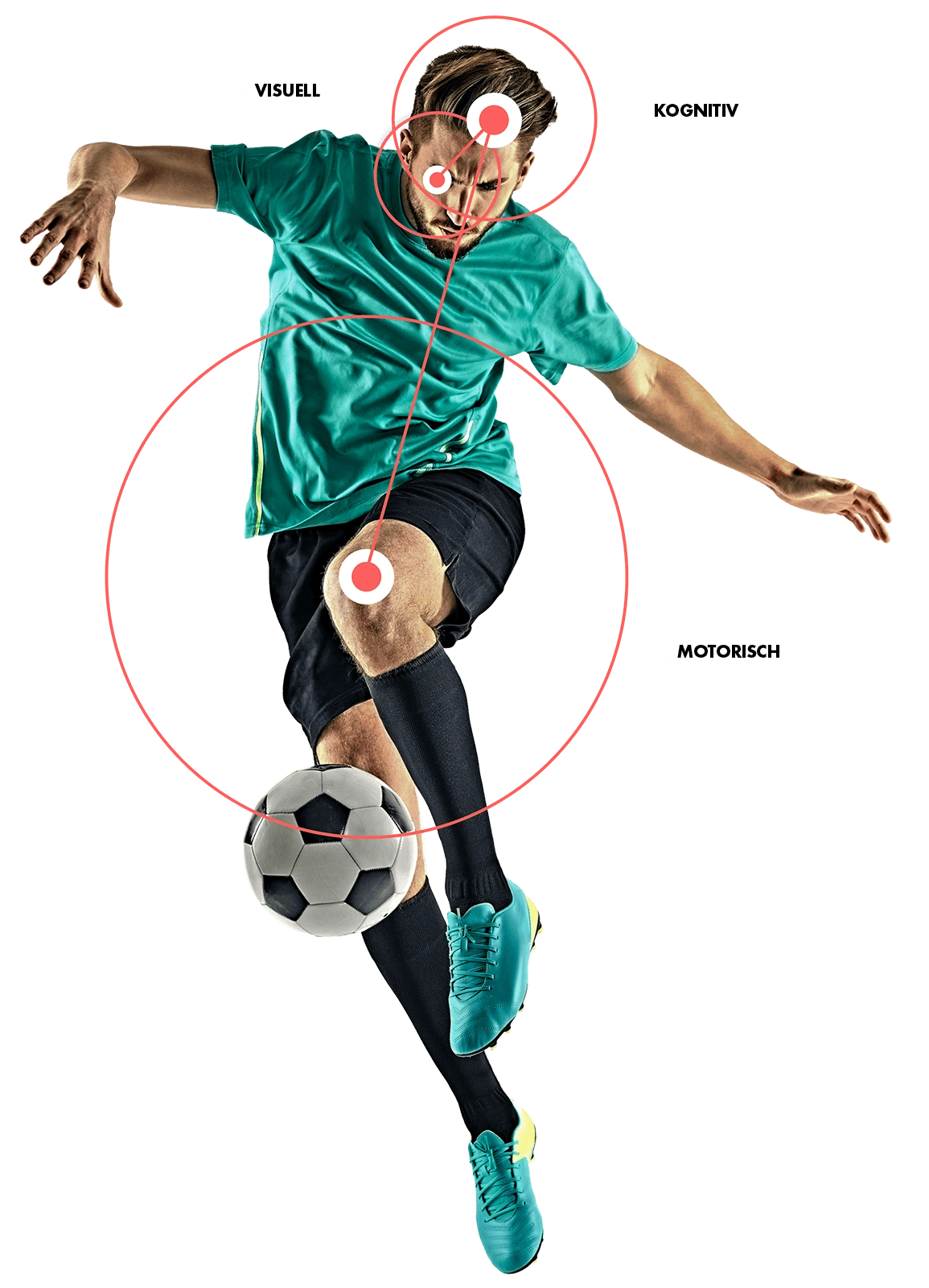 vikomotorik-fussball Hände halten die Auswertung des Fitness Screenings